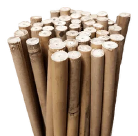 6' THICK Bamboo Stakes (182cm) - Pack of 25